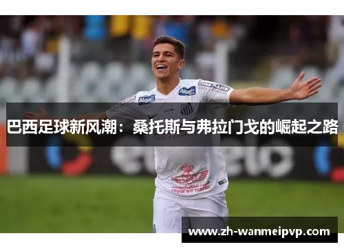 巴西足球新风潮：桑托斯与弗拉门戈的崛起之路